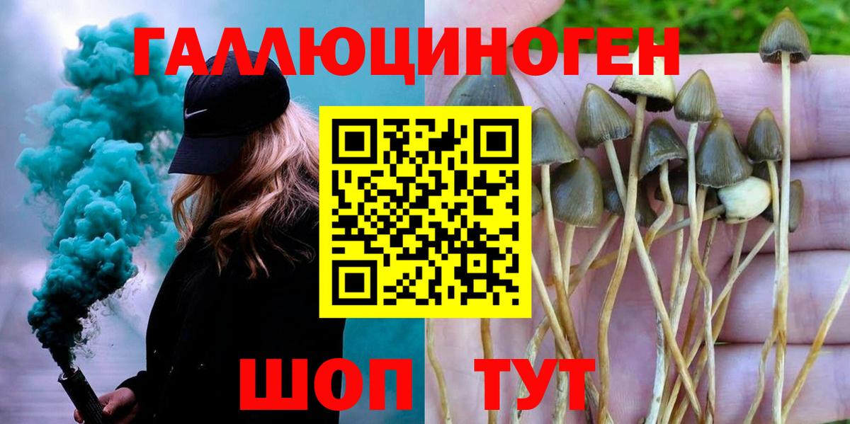 Галлюциногенные грибы ЛСД  Вход с VPN  где продают наркотики  Пенза 