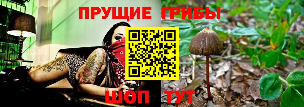 Галлюциногенные грибы ЛСД Пенза
